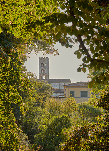 campanile-duomo-dalle-mura-1