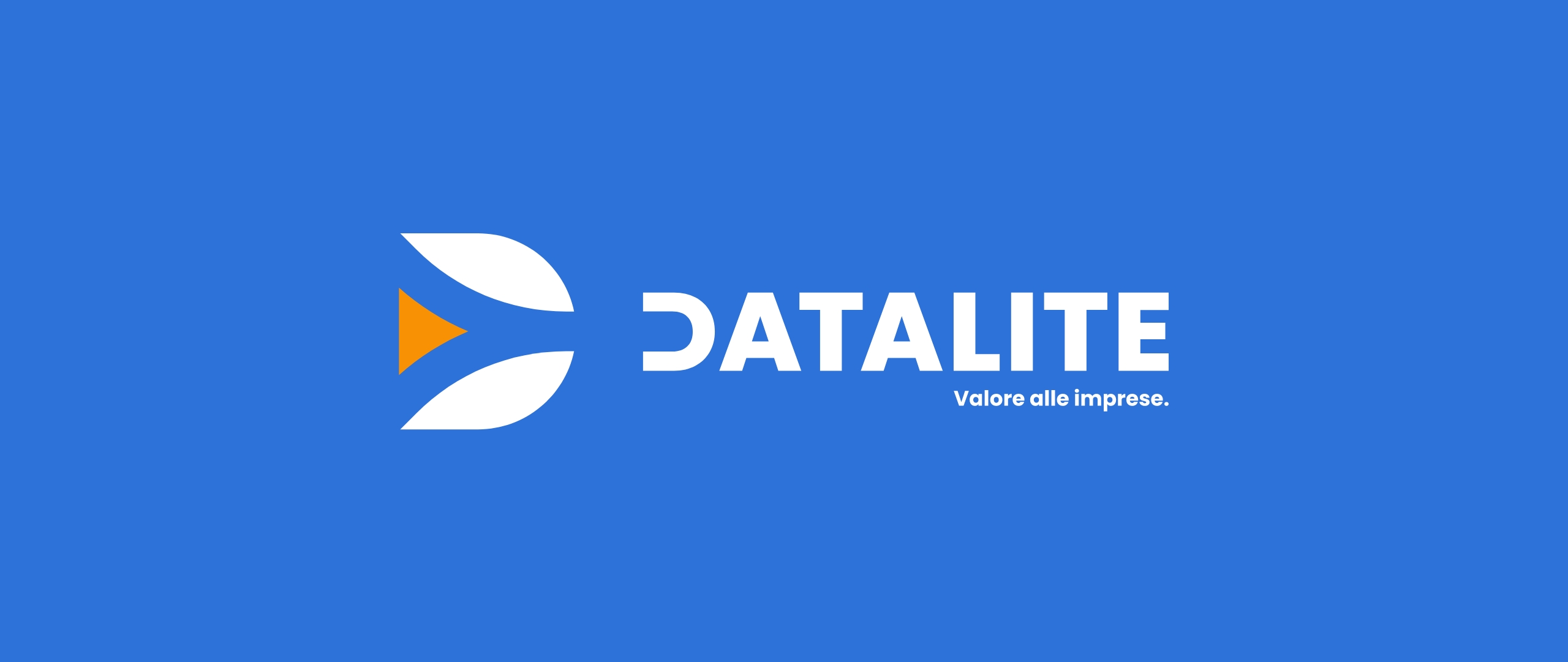 Logo di Datalite